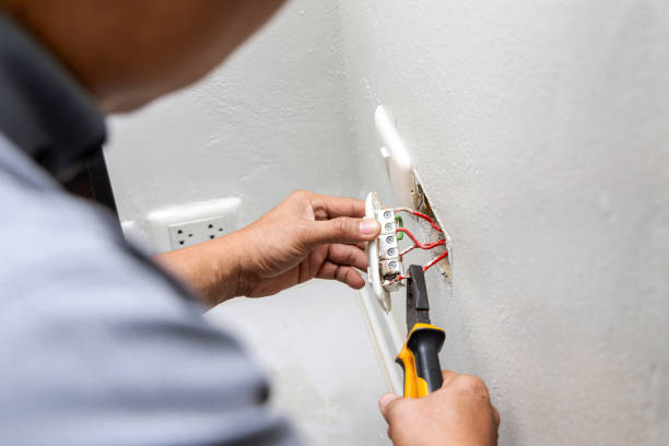 Best Local Electrician Companies  in Dovesville, SC