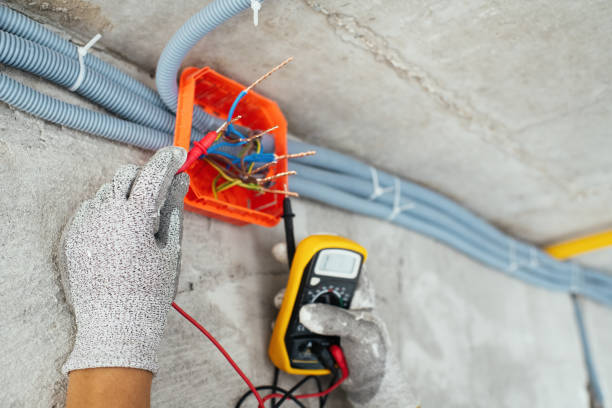 Best Electric Panel Repair  in Dovesville, SC